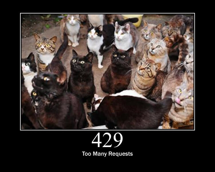 429 Too Many Requests - Expert Guide to HTTP status codes