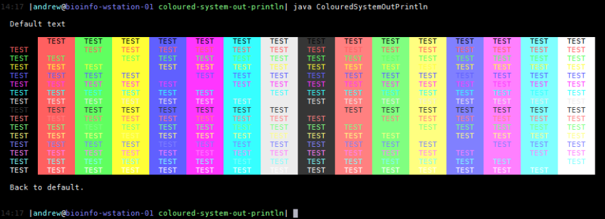 Terminal Output with Java - DEV Community