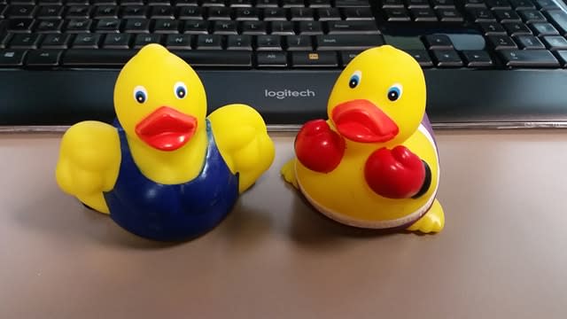 rubber ducks near me