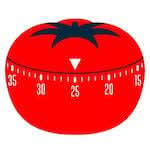 pomodoro technique timer