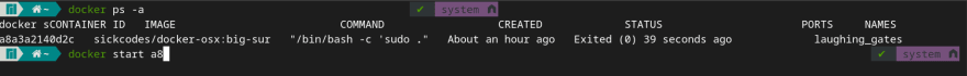 Docker IDS