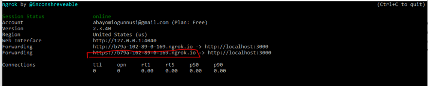 ngrok 4