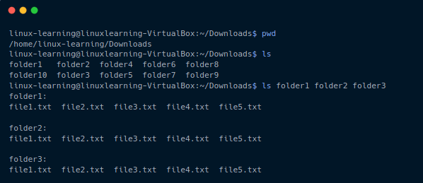ls command multiple directories