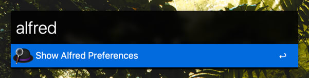 Searching for Alfred preferences