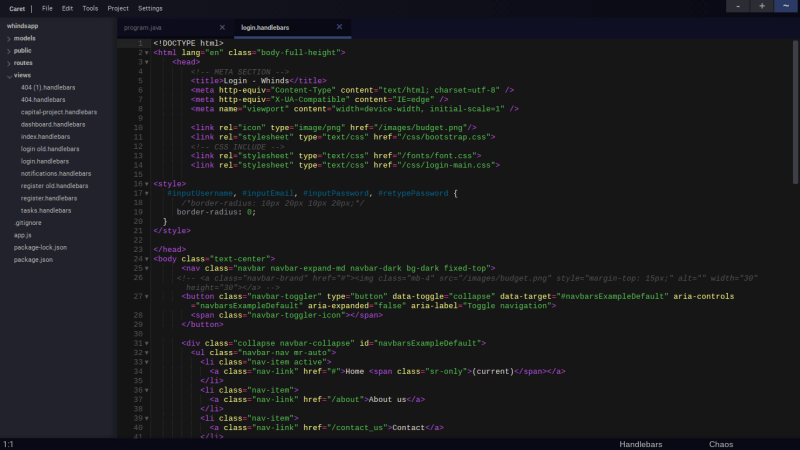 caret code editor