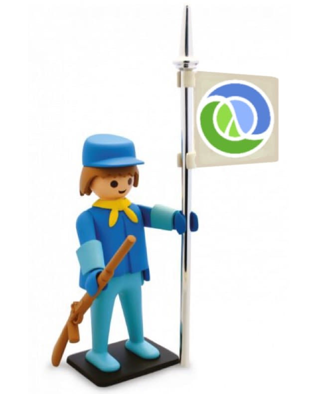 Software and Playmobil