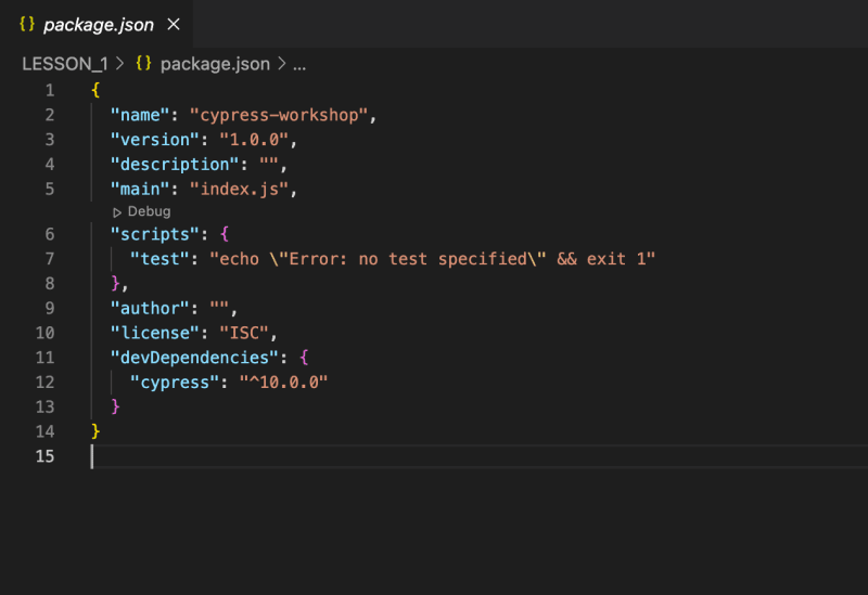 package.json