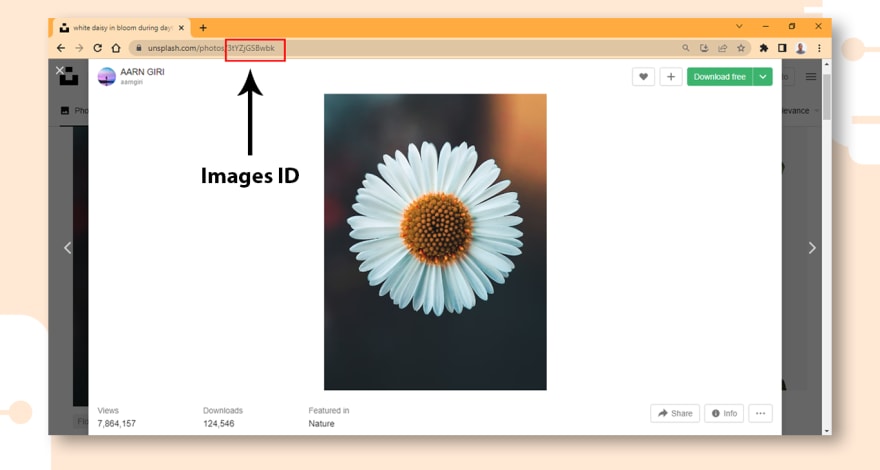 How to link Unsplash Images in Html and CSS - DEV Community