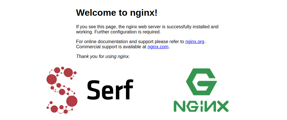 Cover image for NGINX Load balancer Cluster with automatic configuration and node failure detection using Serf