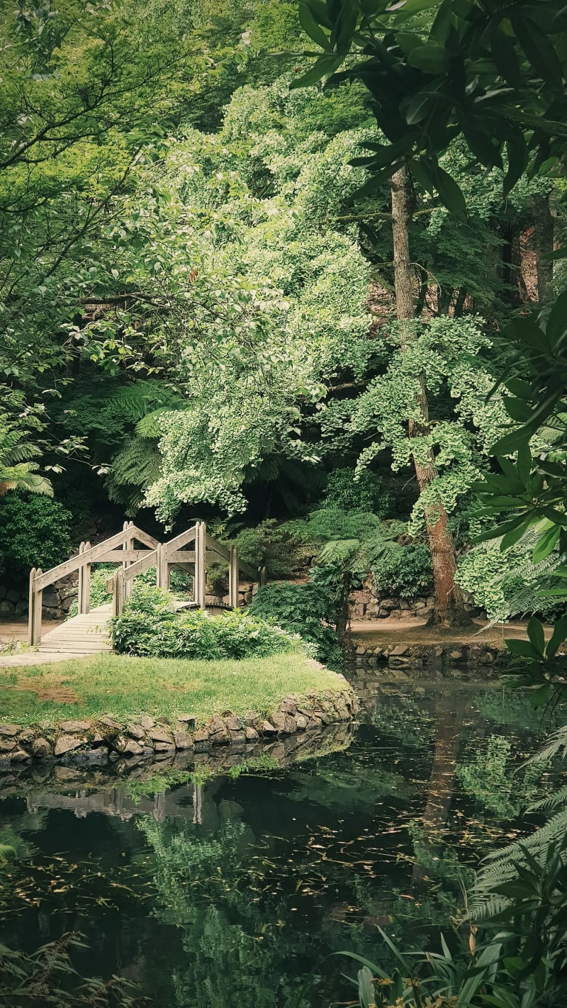 Lush Garden