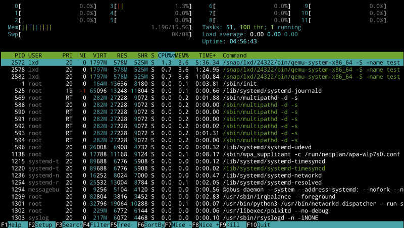 htop screenshot