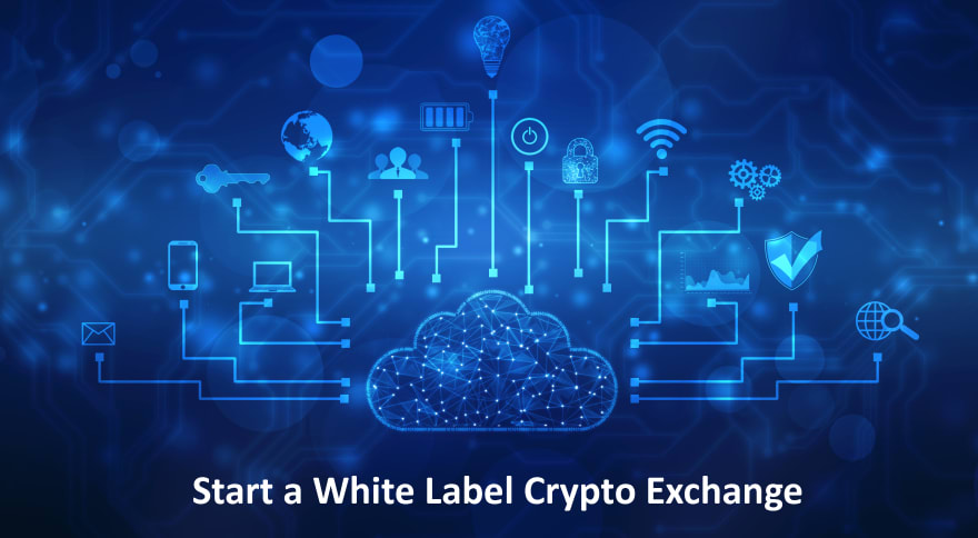 Start a White Label Crypto Exchange 