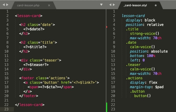 Screenshot of module template and styles
