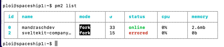Screenshot pm2 list