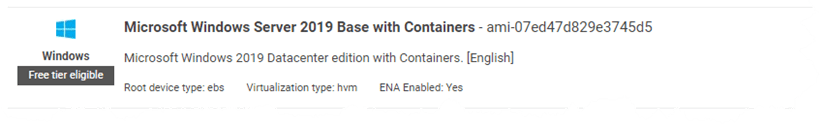 Figure 2. AMI used to host the website to containerize