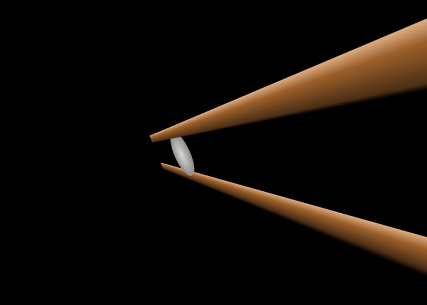 Single grain of rice in chopsticks