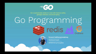 Go Programming - Redis