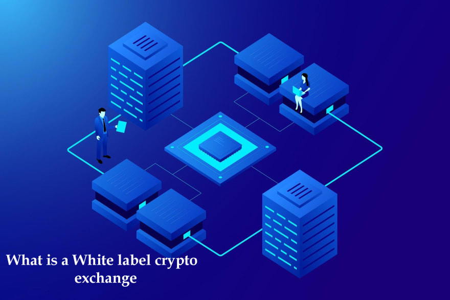 What is a White label crypto exchange