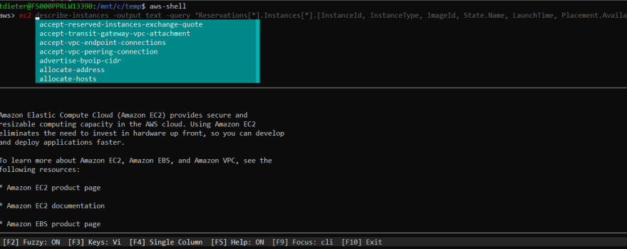 aws-shell, AWS CLI experience enhanced - DEV Community