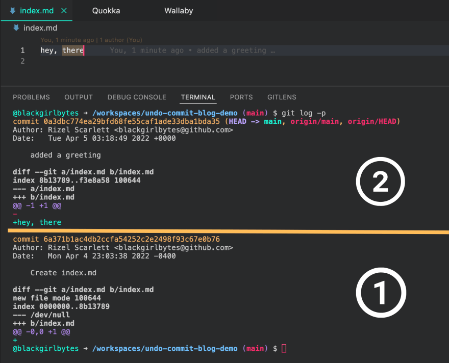 git undo commit save changes