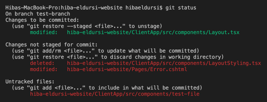 Git terminal showing status of files after staging a file