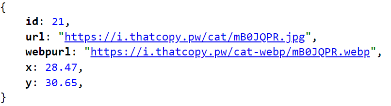 api.png
