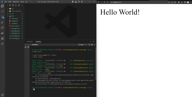 Hello World on the left, vs code witn npm start command run, NestJS scaffold project