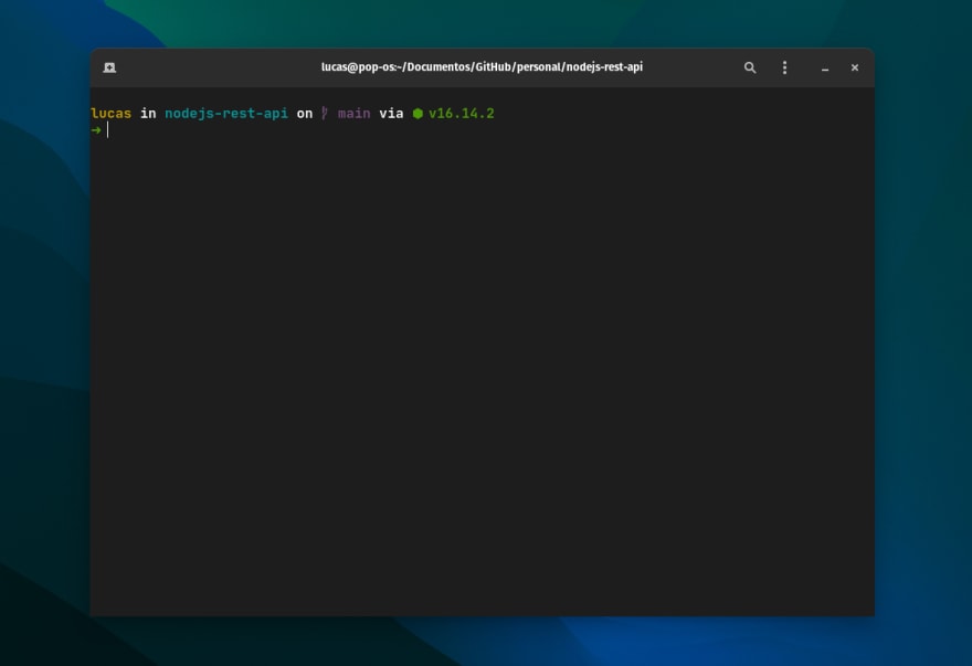 Imagem do meu terminal