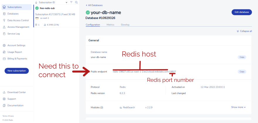 Database Host and port number