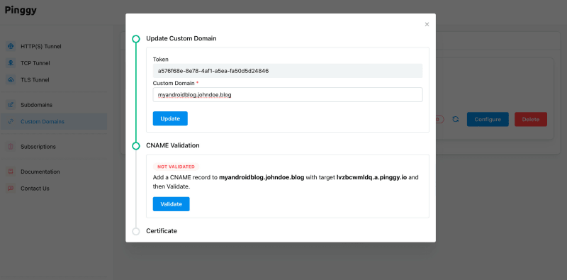 Pinggy custom domain configuration page