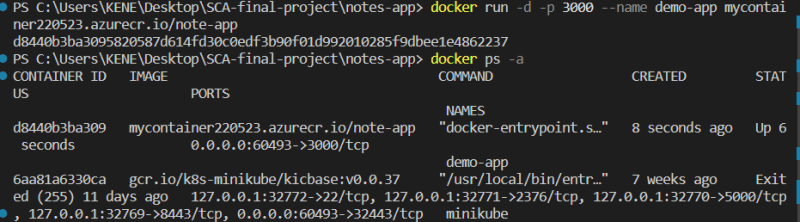 docker run