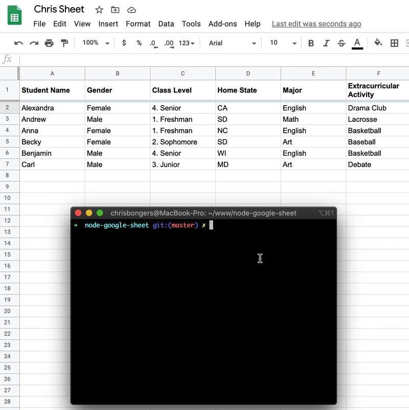 Node Google sheet insert