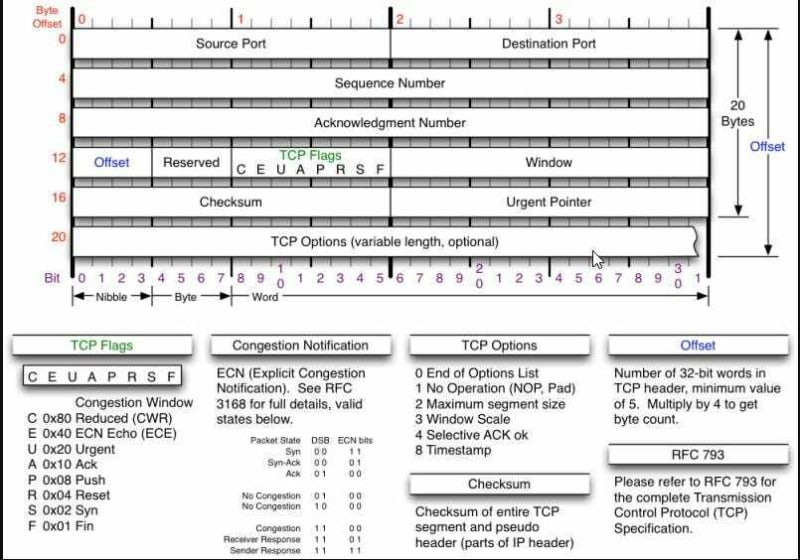 Detailed Format of TCP Heade