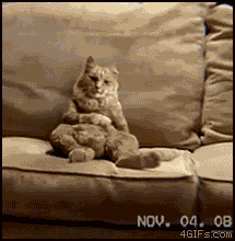 Cat, maybe real or fake, dancing on a couch