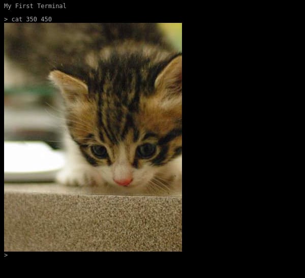 Basic web based terminal with example command