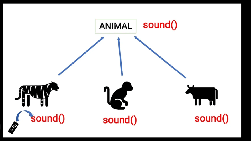 Polymorphism in C++: Understanding The Concepts