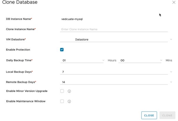 Data Management for Tanzu - Org User - Clone Database