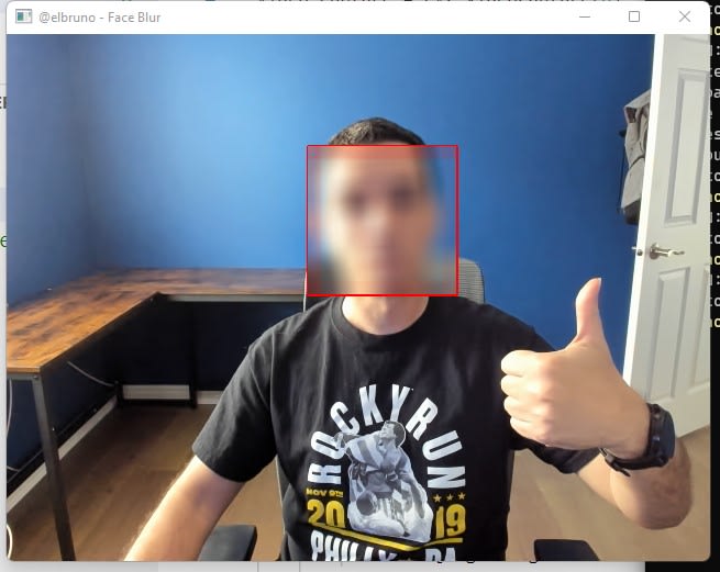 face blur on a camera view