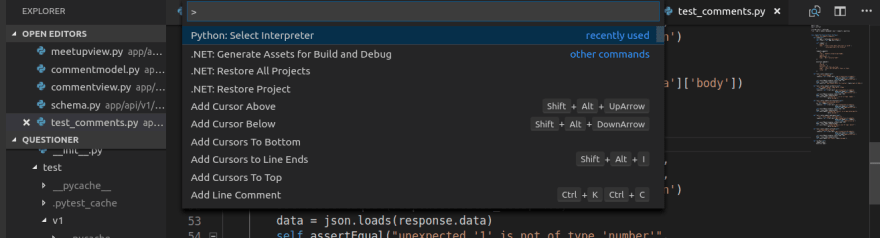 Setting Up PEP8 and Pylint on VS Code - DEV Community