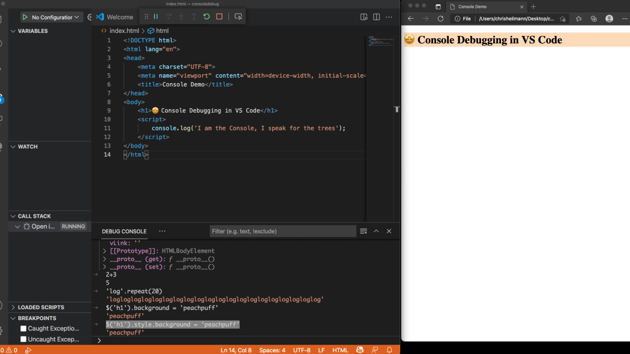 Using () debugging in Visual Studio Code - DEV Community