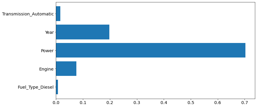 Feature Importance