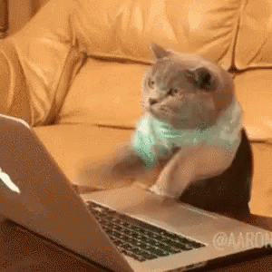 Cat Typing Gif