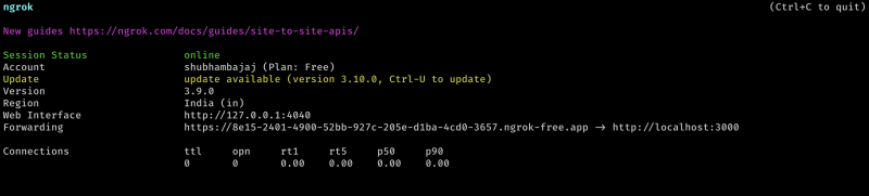 ngrok terminal output