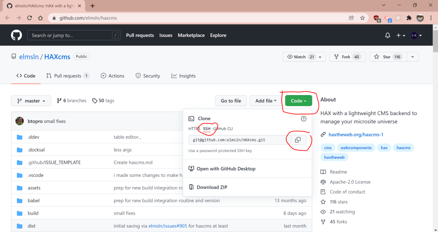 GitHub Cloning Example