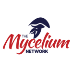 mycelium-network image