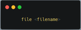 file command syntax