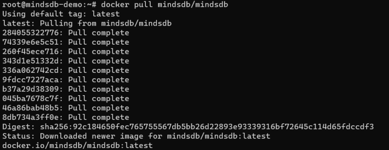 Pull MindsDB