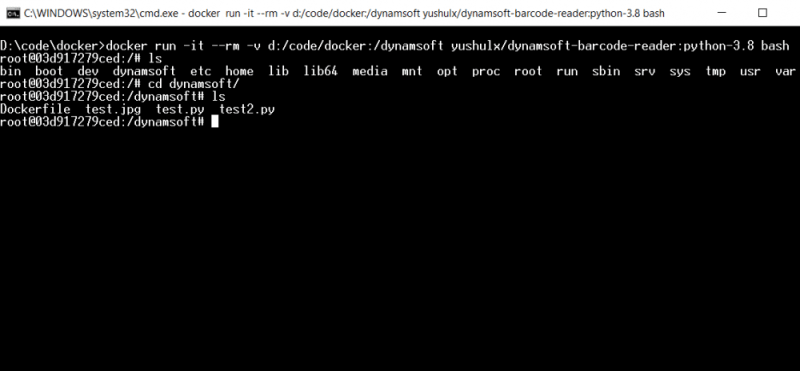 Execute Linux Command
