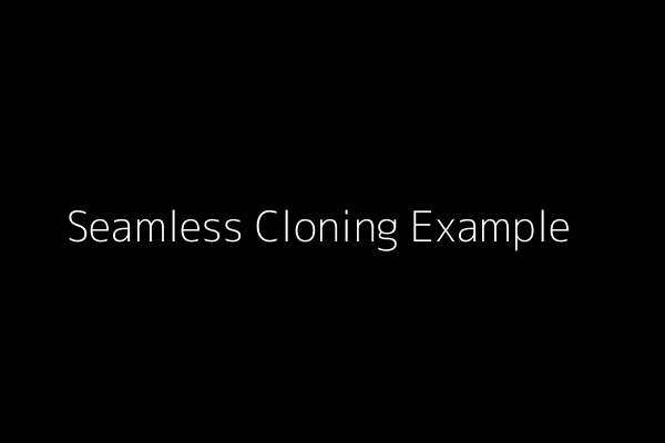 Seamless Cloning Example