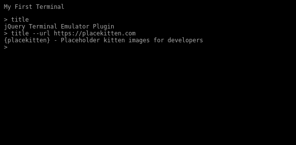 Example Terminal Website written in JavaScript